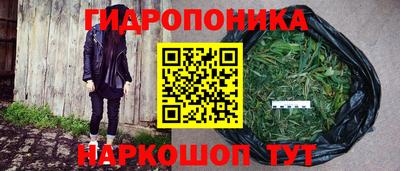 гидропоника Ливны
