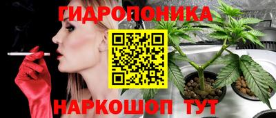гидропоника Ливны