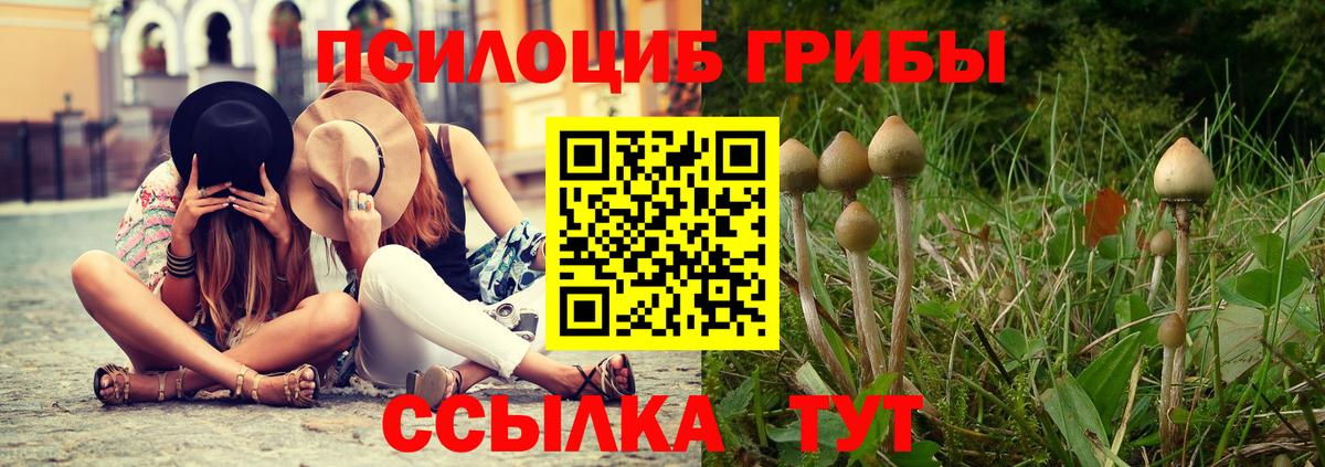 Жуковский  Галлюциногенные грибы Psilocybe  Вход с VPN 